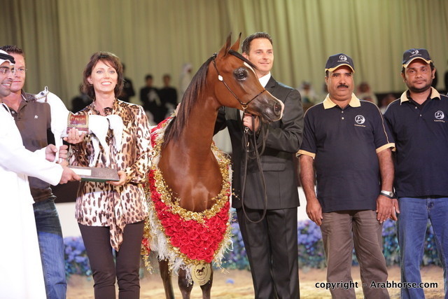 2010 Dubai International Arabian Horse Championships