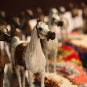 2010 Dubai International Arabian Horse Championships