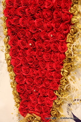 2010 Dubai International Arabian Horse Championships