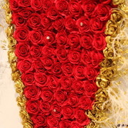 2010 Dubai International Arabian Horse Championships