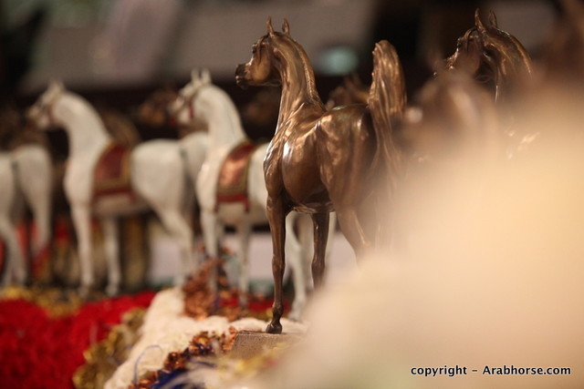 2010 Dubai International Arabian Horse Championships