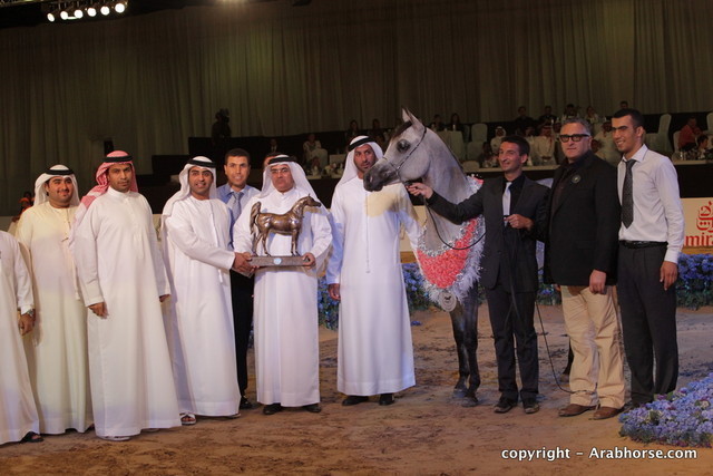 2010 Dubai International Arabian Horse Championships