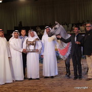 2010 Dubai International Arabian Horse Championships