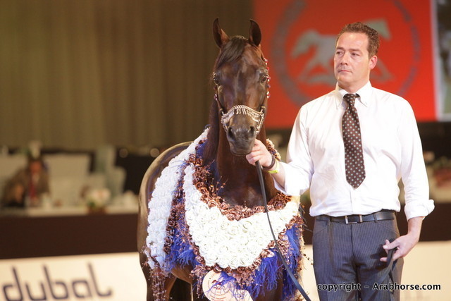 2010 Dubai International Arabian Horse Championships