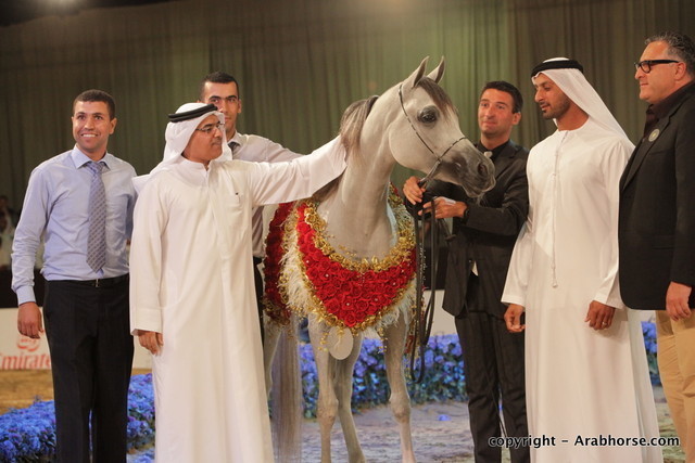 2010 Dubai International Arabian Horse Championships