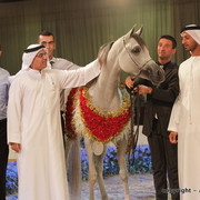 2010 Dubai International Arabian Horse Championships