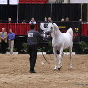 Escape Ibn Navarrone D