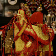 Moroccan Championship Saddle