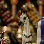 2010 Arabian Breeders World Cup