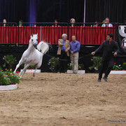 Escape Ibn Navarrone D