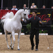 Escape Ibn Navarrone D