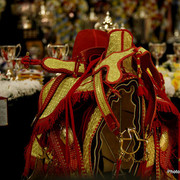 Moroccan Championship Saddle