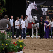 Escape Ibn Navarrone D