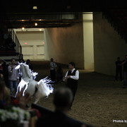 2010 Arabian Breeders World Cup