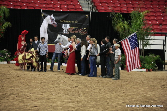 2010 Arabian Breeders World Cup