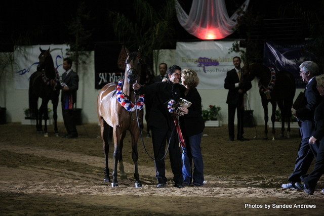 2010 Arabian Breeders World Cup
