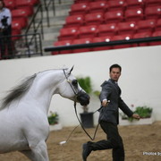 2010 Arabian Breeders World Cup