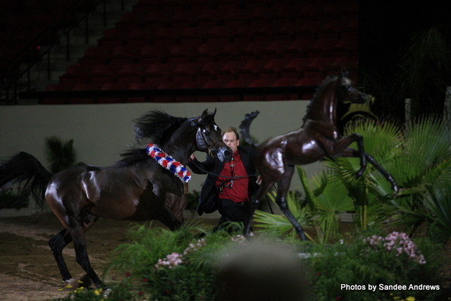 2010 Arabian Breeders World Cup
