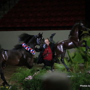 2010 Arabian Breeders World Cup