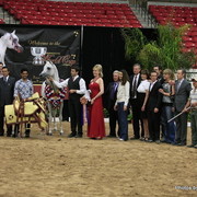 2010 Arabian Breeders World Cup