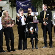 2010 Arabian Breeders World Cup
