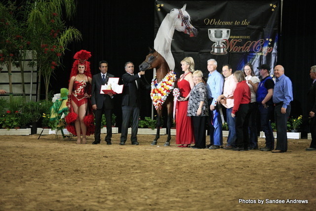 2010 Arabian Breeders World Cup