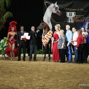 2010 Arabian Breeders World Cup