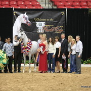 2010 Arabian Breeders World Cup
