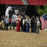 2010 Arabian Breeders World Cup