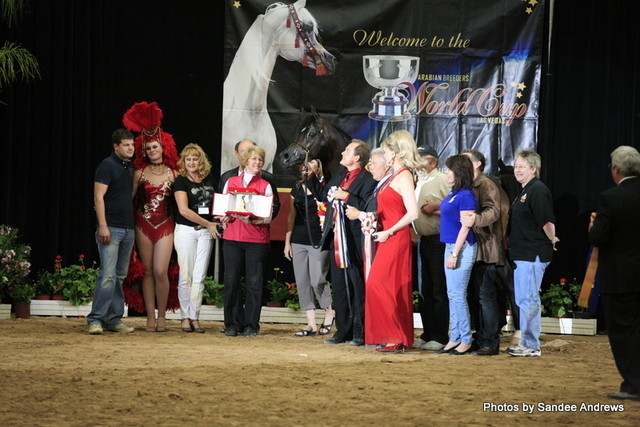 2010 Arabian Breeders World Cup