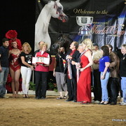 2010 Arabian Breeders World Cup