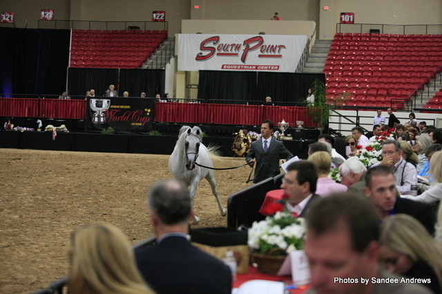 2010 Arabian Breeders World Cup