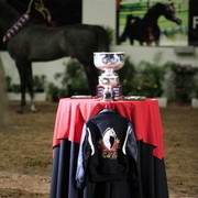 2010 Arabian Breeders World Cup