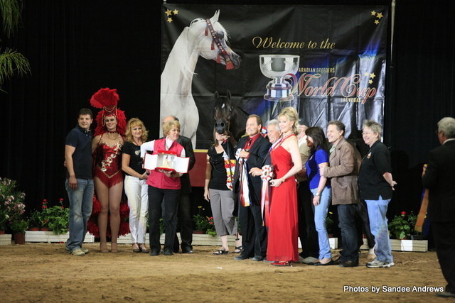 2010 Arabian Breeders World Cup