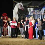 2010 Arabian Breeders World Cup