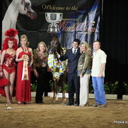 2010 Arabian Breeders World Cup