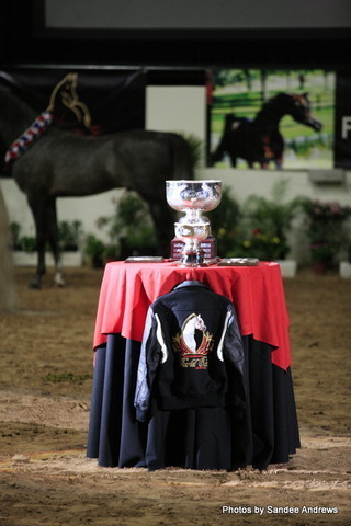 2010 Arabian Breeders World Cup