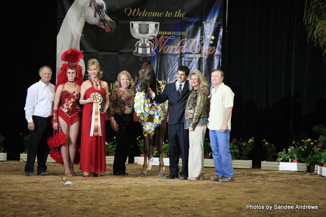 2010 Arabian Breeders World Cup