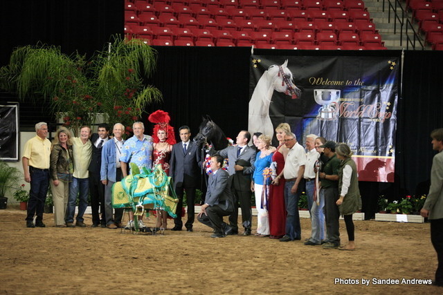 2010 Arabian Breeders World Cup