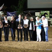 2010 Arabian Breeders World Cup