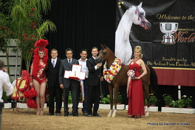 2010 Arabian Breeders World Cup