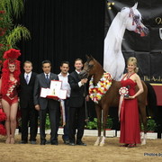 2010 Arabian Breeders World Cup