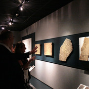 A Gift of the Desert