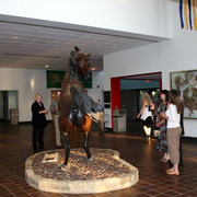 A Gift of the Desert