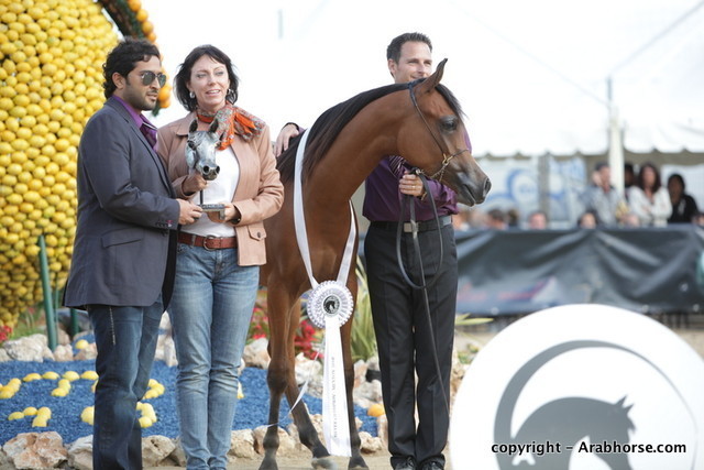 2010 Menton Arabian Horse Show