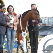 2010 Menton Arabian Horse Show