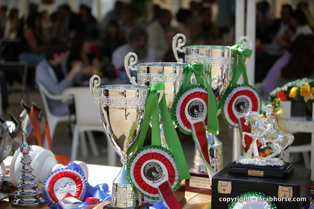 2010 Menton Arabian Horse Show