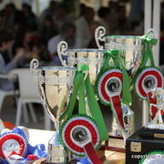 2010 Menton Arabian Horse Show