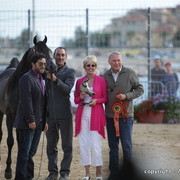 2010 Menton Arabian Horse Show