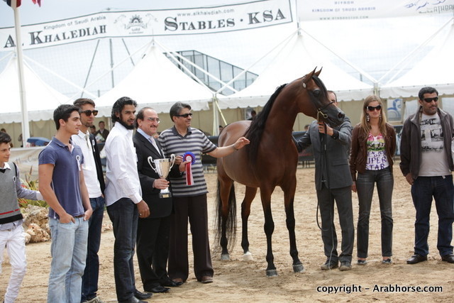 2010 Menton Arabian Horse Show